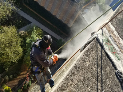 Spraying for Cluster Fly Removal