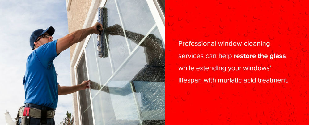 Window Cleaning Services