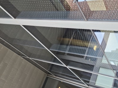 Close-up of Feather Friendly Bird Dot pattern on glass